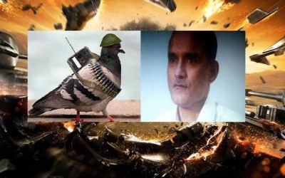 Pakistani pigeon Vs kulbhushan Yadav