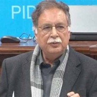 Pervez Rashid