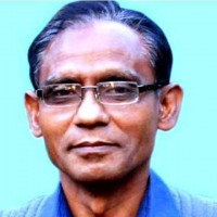 Professor Razaul karim Raj