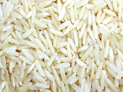 Rice