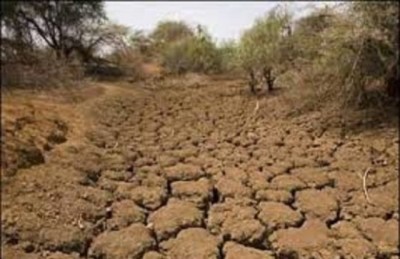 Thar Desert Drought