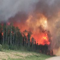 Canada Forest Fire