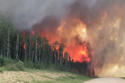 Canada Forest Fire