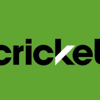 Cricket