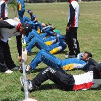 Cricket Team Training