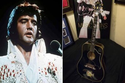 Elvis Presley Guitar