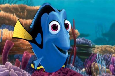 Finding Dory