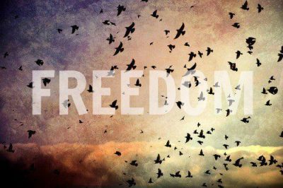 Freedom