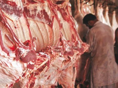 Harmful Meat