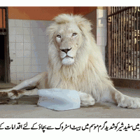 KARACHI ZOO