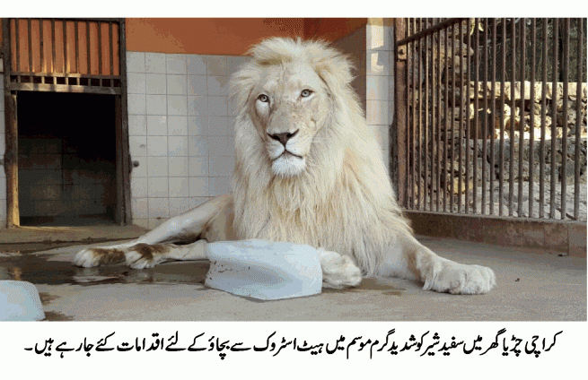 KARACHI ZOO