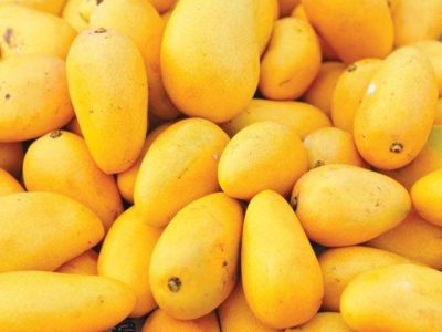 Mango