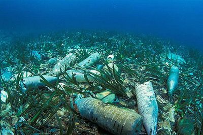 Ocean Pollution