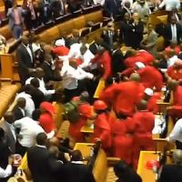 South Africa,Parliament Commotion