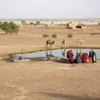 Thar desert