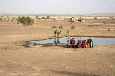 Thar desert