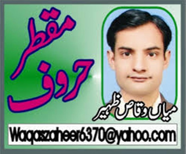 Waqas Zaheer Logo 