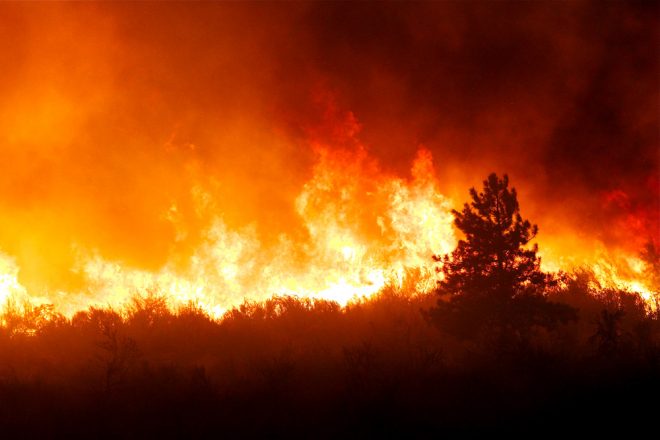 موسم گرما میں مارگلہ کی پہاڑیوں پر ممکنہ آتشزدگی کی روک تھام کے لئے ہنگامی اقدامات