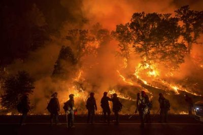 California Forestry Fire