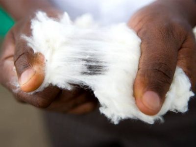 Cotton