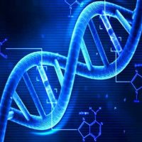 DNA