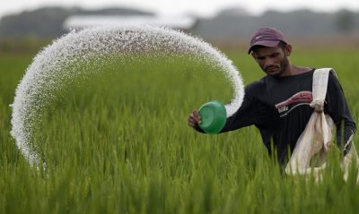 Farmers