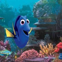 Finding Dory