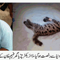 Karachi Zoo