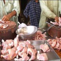 Poultry Meat