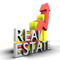 Real Estate Sector