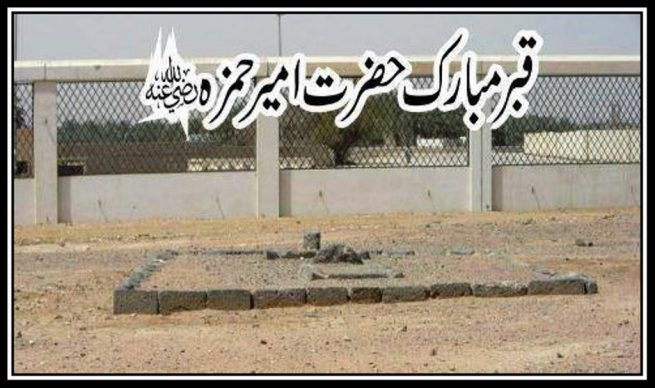 Grave of Sayyedna Ameer Hamza a.s