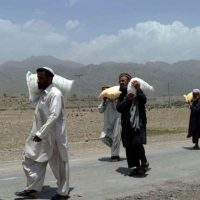 Afghanistani Migration