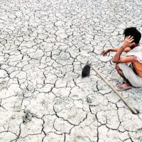 Indian Farmer Suicide