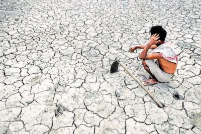 Indian Farmer Suicide