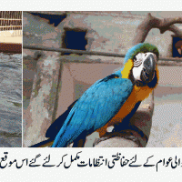 KARACHI ZOO