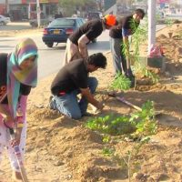 Karachi Planting