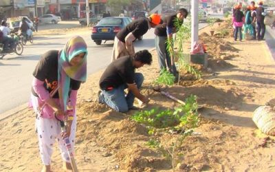 Karachi Planting