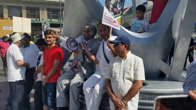 Pakistani community Vienna Kashmir Solidarity Rally