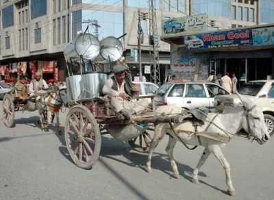 Donkey Cart