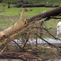 Flood Ravages