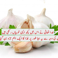 Garlic Benefits