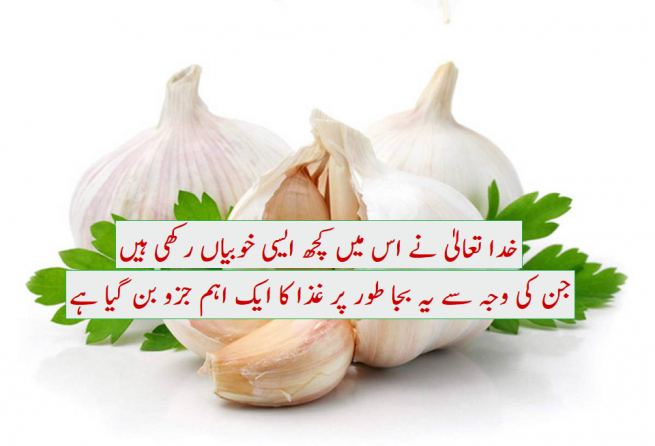 Garlic Benefits