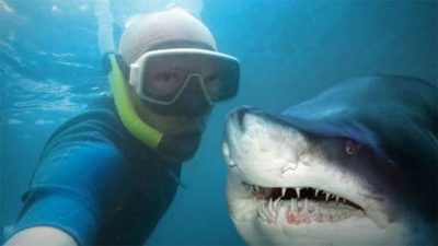 Selfie with Shark