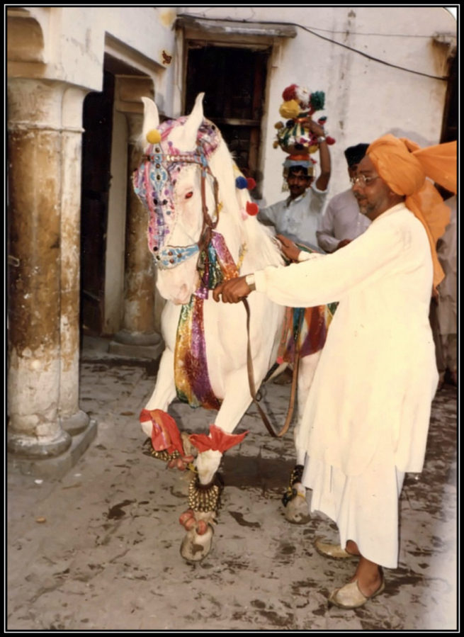 Sahibzada Ijaz Bukhari's Equine display