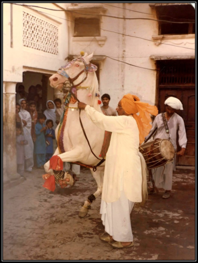 Sahibzada Ijaz Bukhari's Equestrio