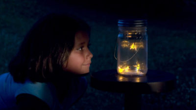 Fireflies