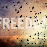 Freedom