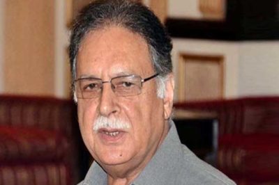  Pervaiz Rashid