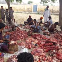 Qurbani Meat