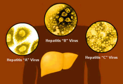 Hepatitis Viruse